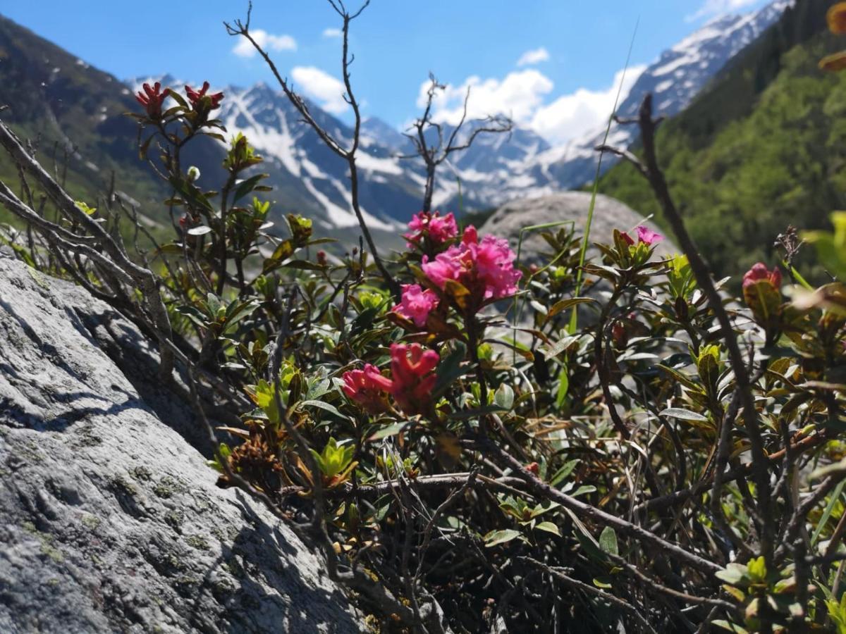 Piz-Hotel Sankt Leonhard im Pitztal Buitenkant foto