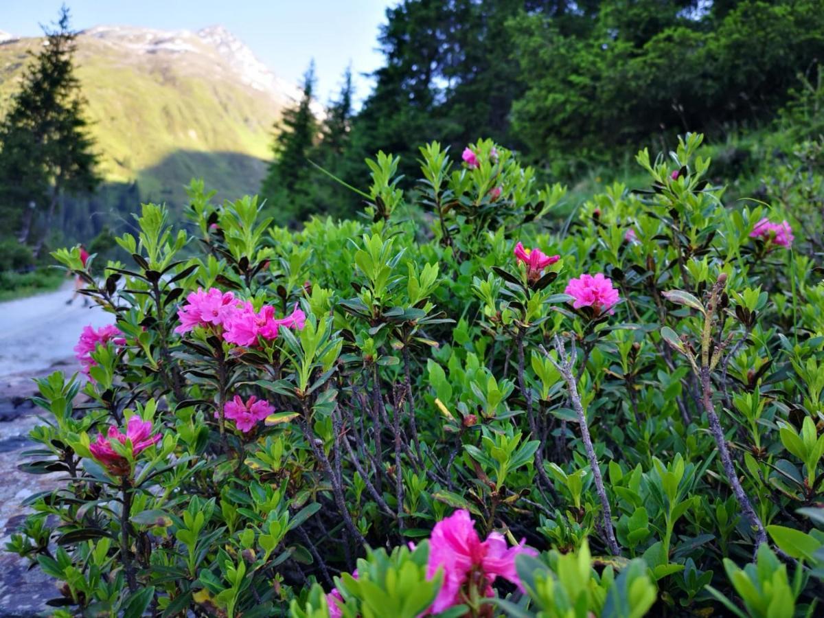 Piz-Hotel Sankt Leonhard im Pitztal Buitenkant foto